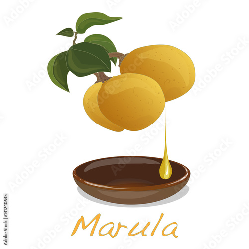 Marula fruit. photo