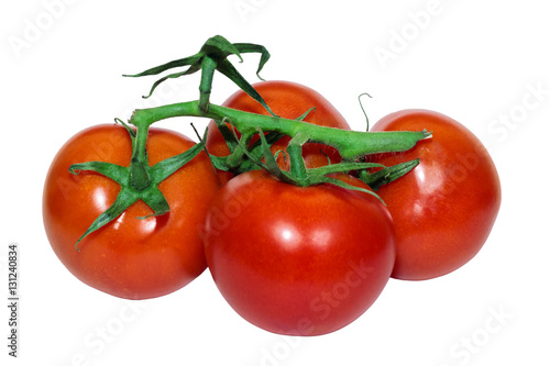 tomatoes branch on a white background © Alexander Dolonsky
