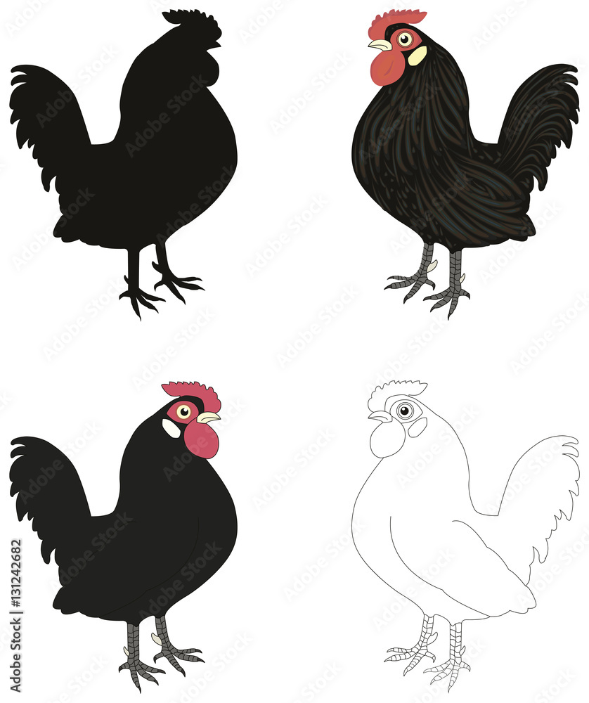 Set of various cocks, silhouette, outline, painted. Set of various cocks, silhouette, outline, painted.