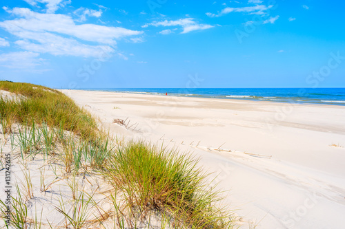 Green grass sand dune on Debki beach, Baltic Sea, Poland