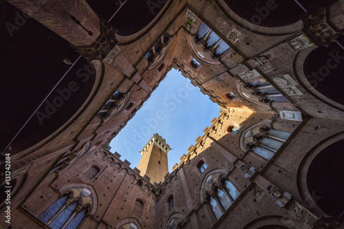 view to old tower from palaces garden in Tuscany