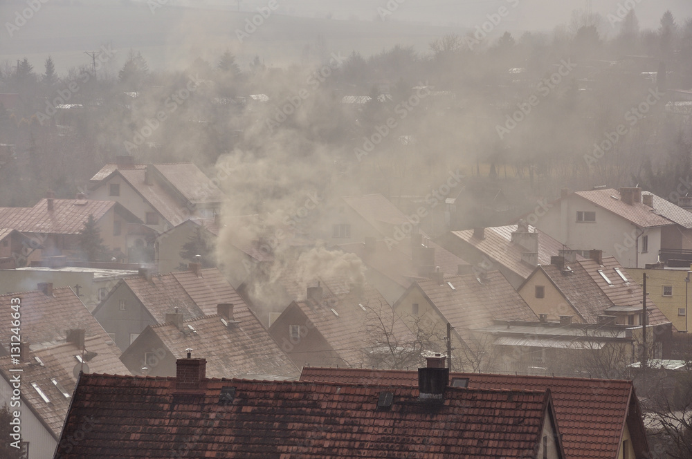 Plakat Dym nad dachami domów
