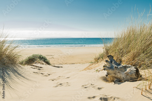 Fototapeta Naklejka Na Ścianę i Meble -  Bolonia beach