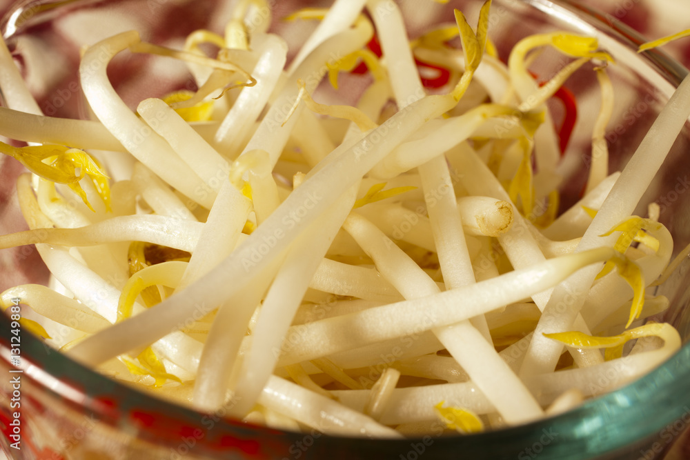 fresh mung bean sprouts
