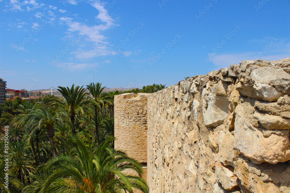 Palmeral de Elche, Alicante