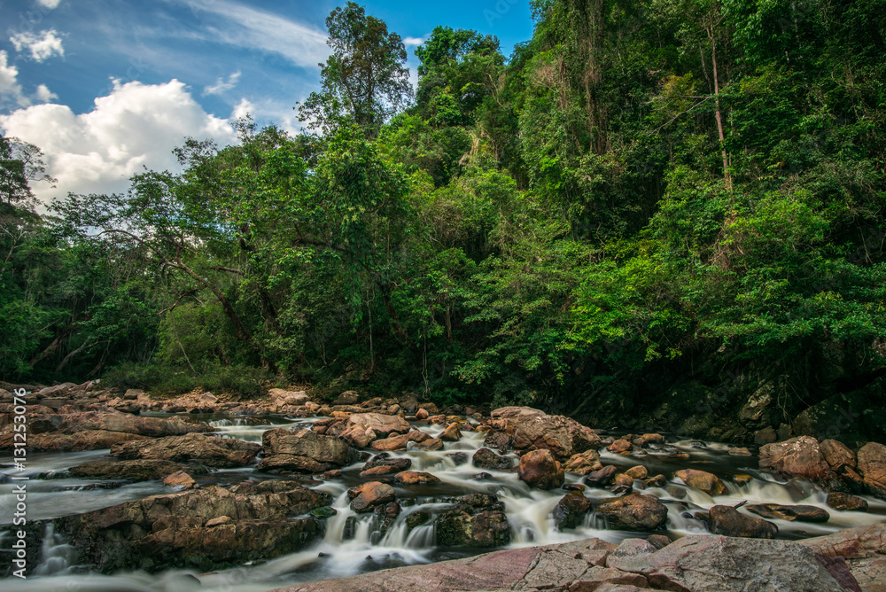 Unaffected river in the jungle. Taman Negara national park in Malaysia