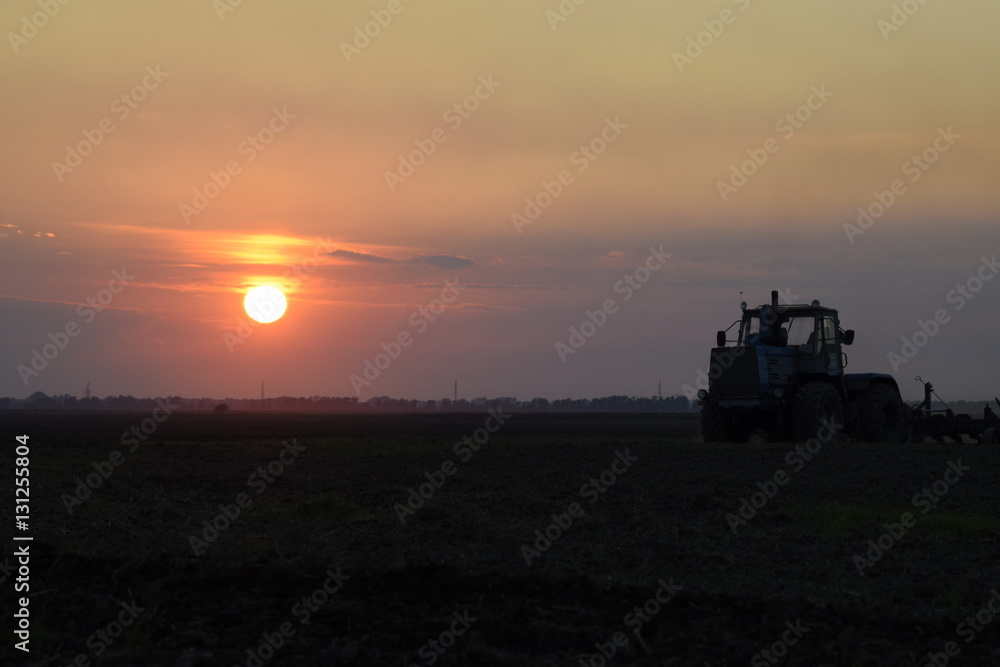 Fototapeta premium Tractor plowing plow the field on a background sunset. tractor silhouette on sunset background