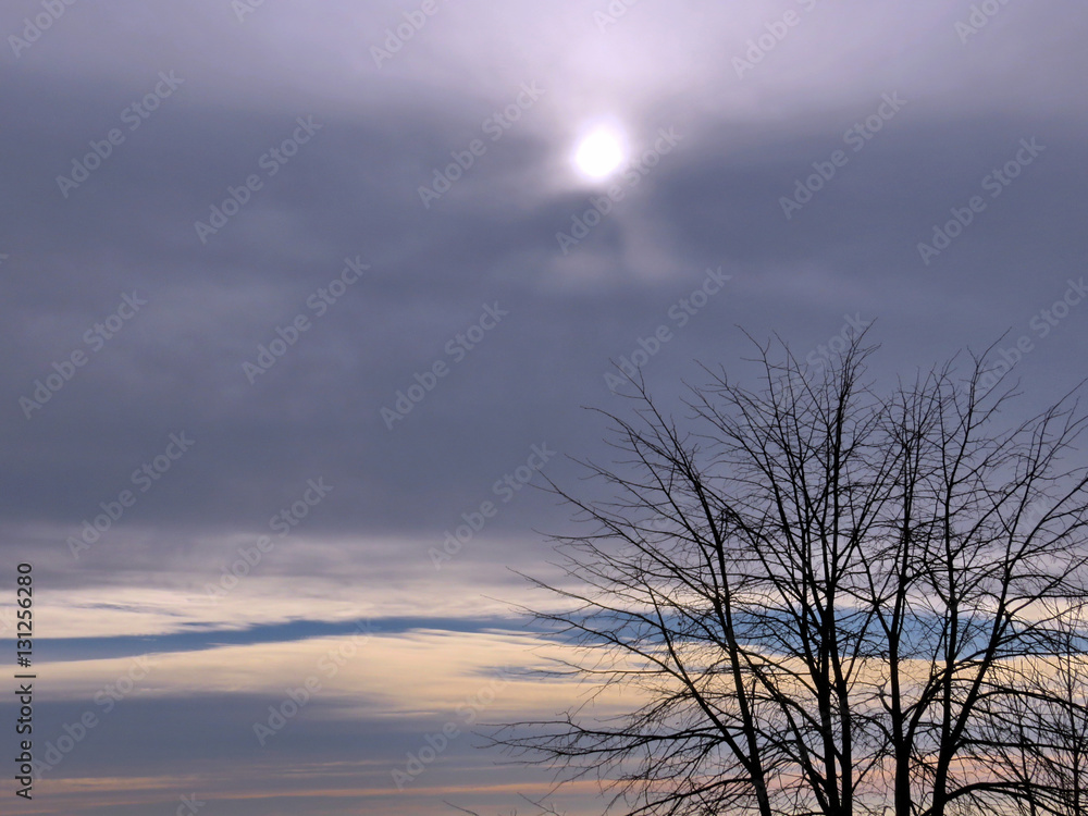 Obraz premium Toronto Lake winter sky 2016