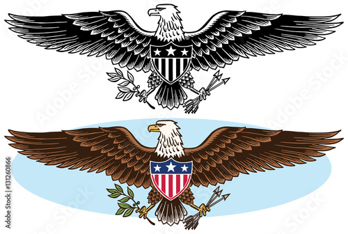 American bald eagle patriotic symbol