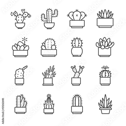 Cactus and succulent icons set