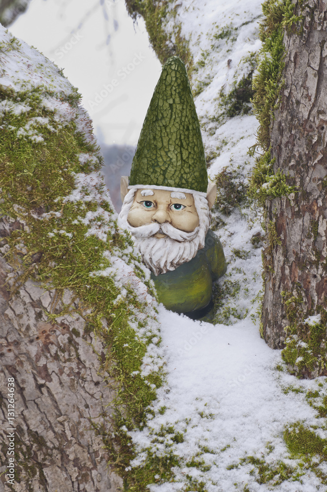 Gnome in tree with green hat and snow covered branches/Closeup of Gnome in tree with green hat and suit. Winter time with snow. Gnome in tree with green hat and snow covered branches/Closeup of Gnome in tree with green hat and suit. Winter time with snow.