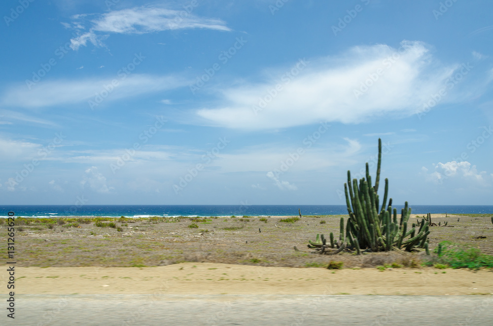 Dry and arid desert landscape in Aruba