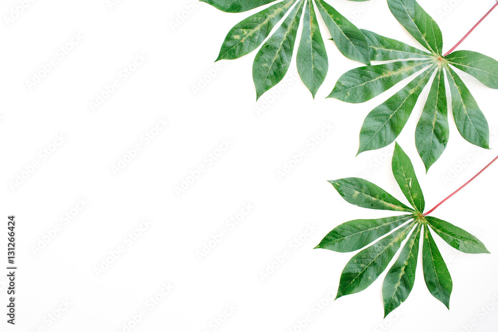 green palm branches on white background. flat lay, top view