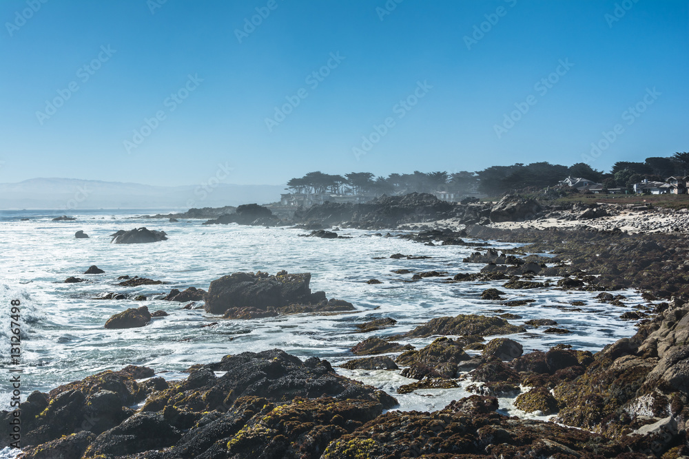 Pacific Grove coast, Monterey, California