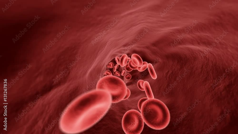 Blood cells traveling through a vein