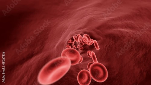 Blood cells traveling through a vein photo