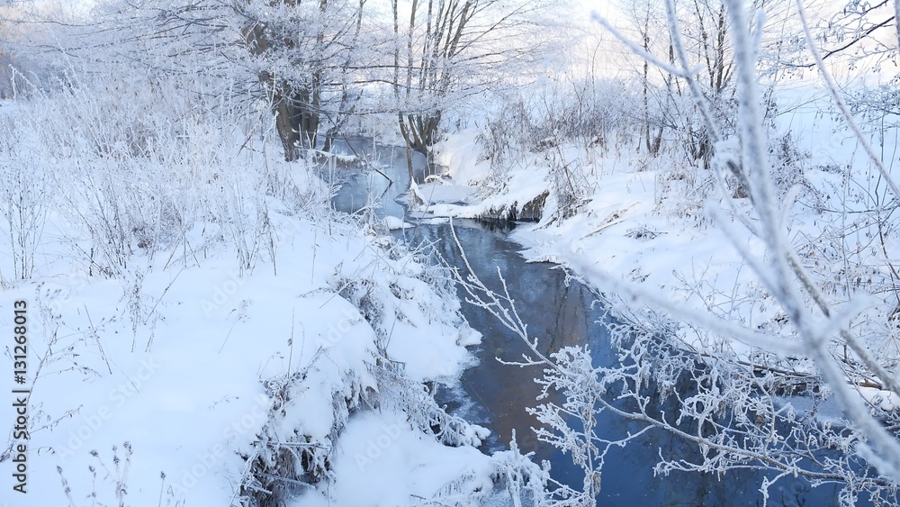 Fototapeta premium winter creek in the forest snow, frozen branches of trees landscape nature