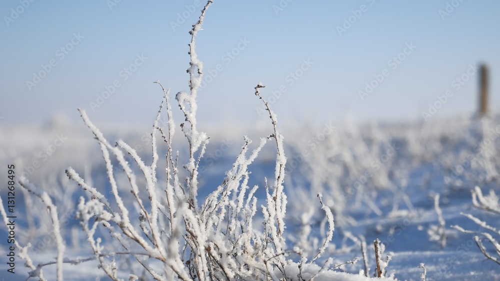 Obraz premium frozen grass next to the highway route travel winter movement of auto