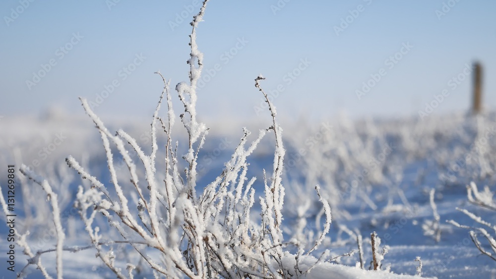 frozen grass next to the highway route travel winter movement of auto frozen grass next to the highway route travel winter movement of auto