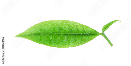 Green tea leaf with water drops isolated on white background.