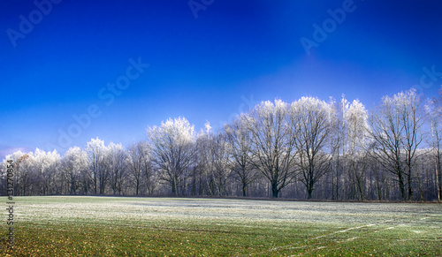 Fototapeta Naklejka Na Ścianę i Meble -  Zimowe Pola