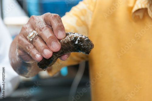 Sea cucumber, Gamat photo