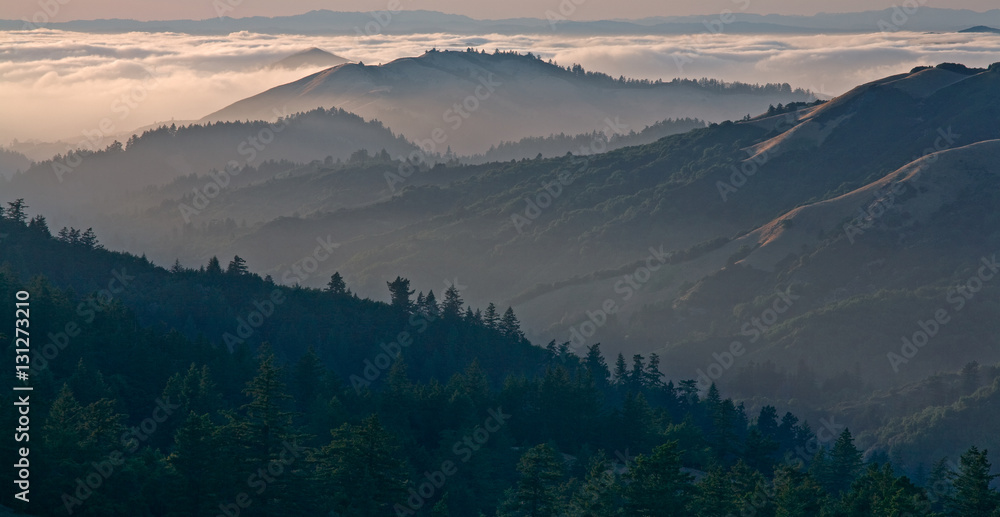 Fototapeta premium Bolinas Ridge, Calfiornia