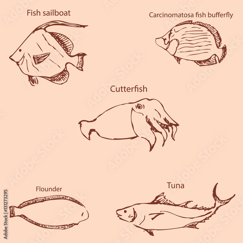 Marine inhabitants with names. Pencil sketch by hand. Vintage colors. Vector