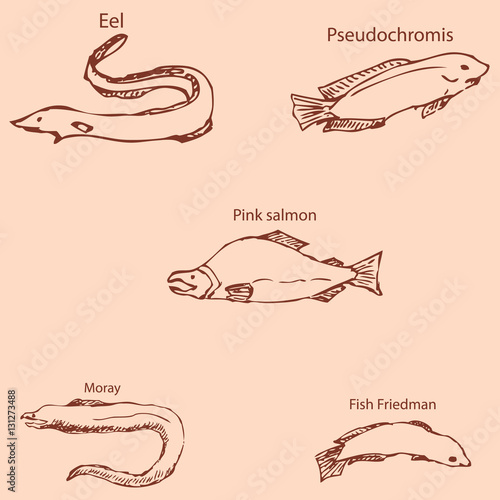 Marine inhabitants with names. Pencil sketch by hand. Vintage colors. Vector