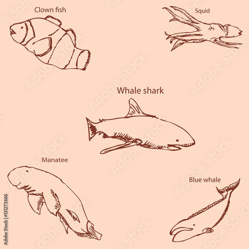 Marine inhabitants with names. Pencil sketch by hand. Vintage colors. Vector
