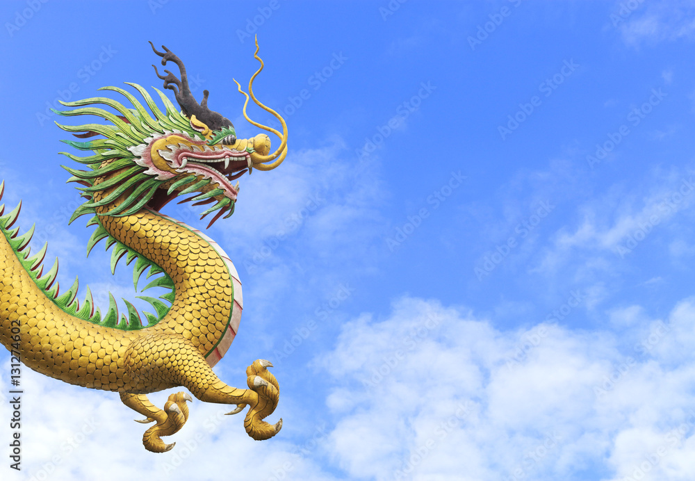 Fototapeta premium dragon on sky with soft-focus in the background. over light
