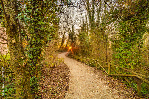path in the park at sunset