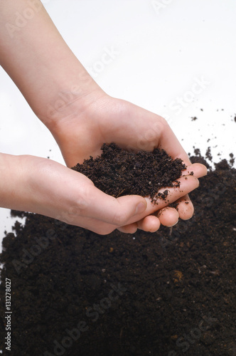 Peat soil in hands on white background