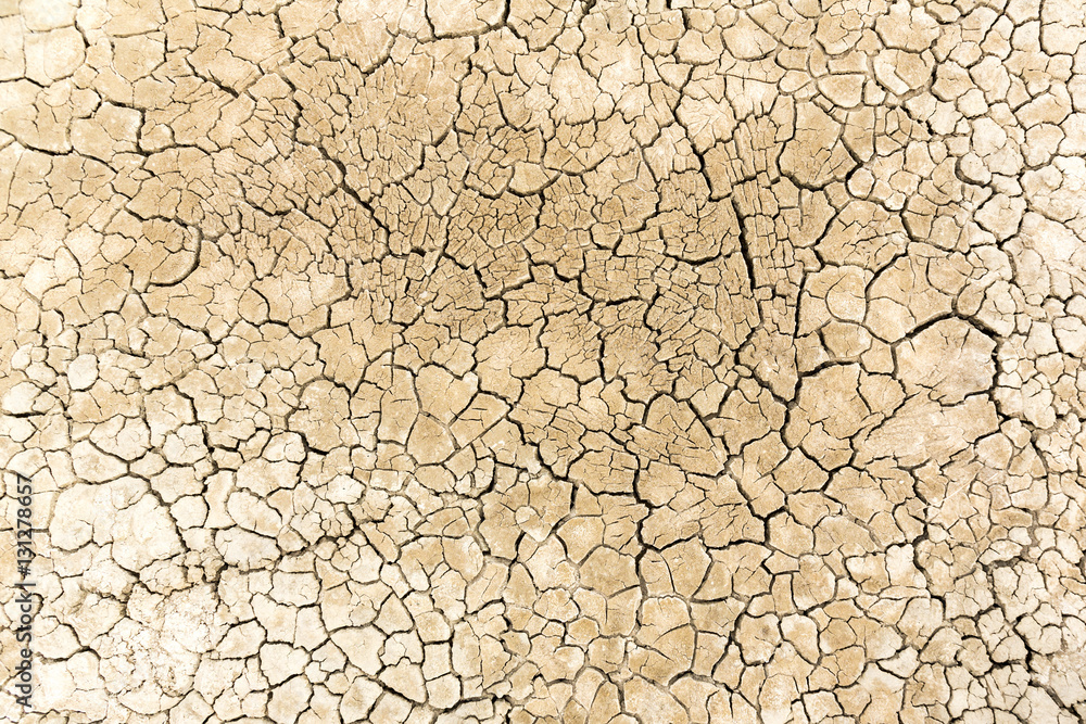 Dried and cracked sandy soil from a drained desert lakebed Dried and cracked sandy soil from a drained desert lakebed