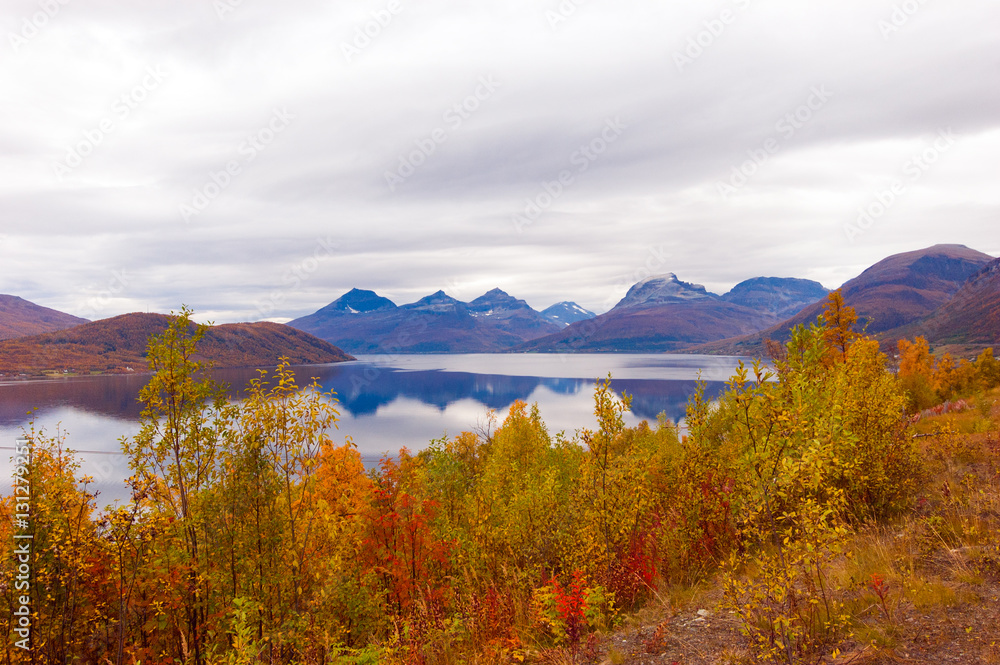  Nature of northern Norway,autumn