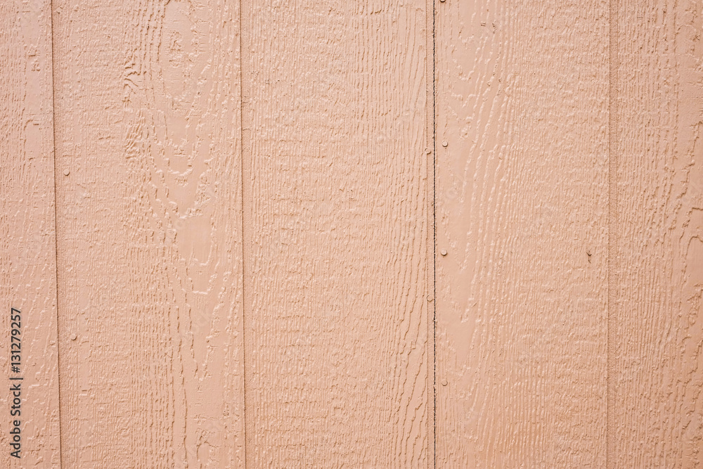 Fototapeta premium Wood background