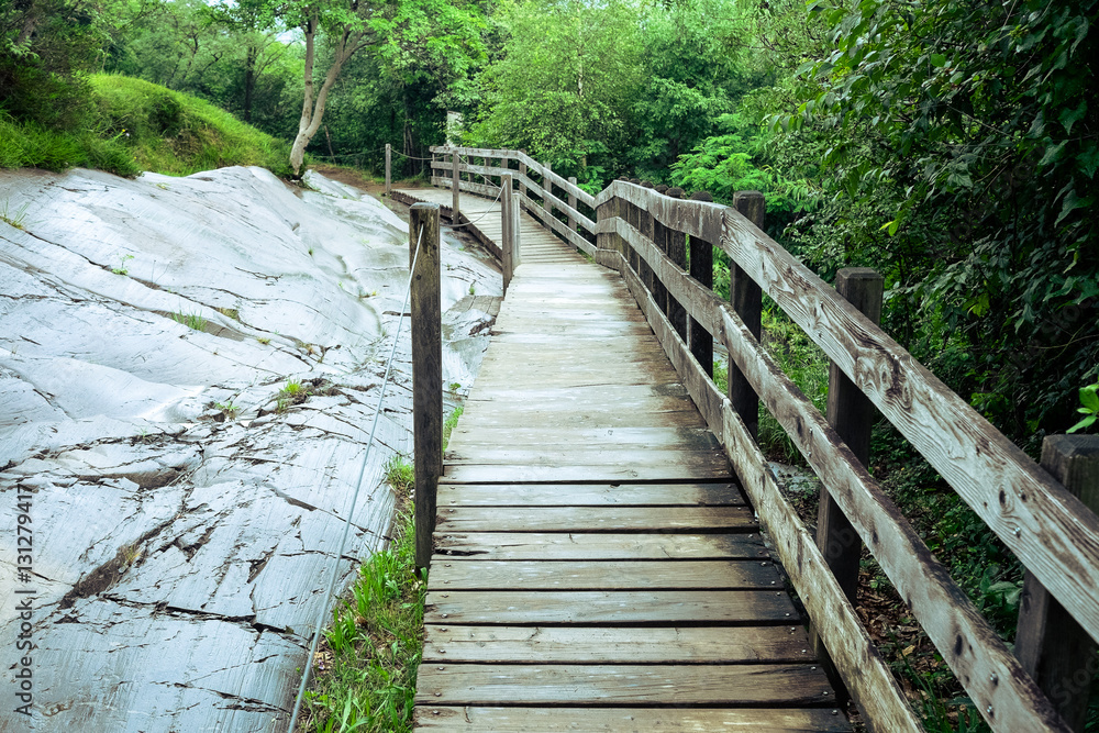 Obraz premium Wooden Footbridge, Foggy Nature, Way Nature, Footbridge Nature, Path Woods, Path Forest, Footbridge