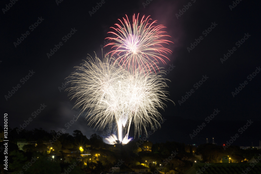 Firework in the night sky Firework in the night sky