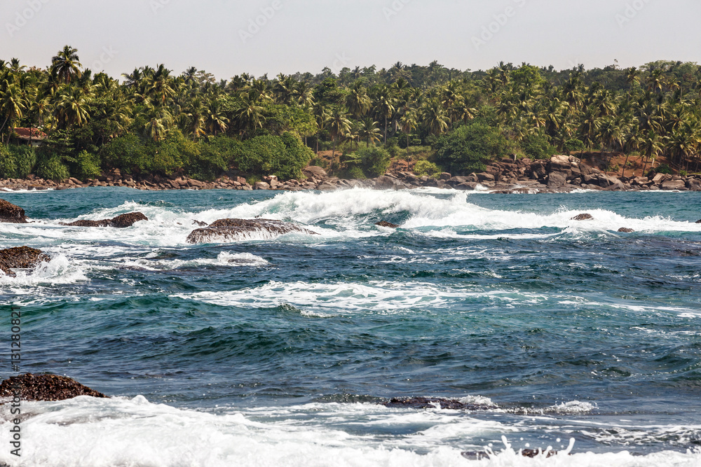 Palm tropical beach. Landscape rocky coast ocean. Palm tropical beach. Landscape rocky coast ocean.