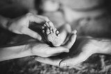 Mother and father holding their small baby's feet. Black and white picture.