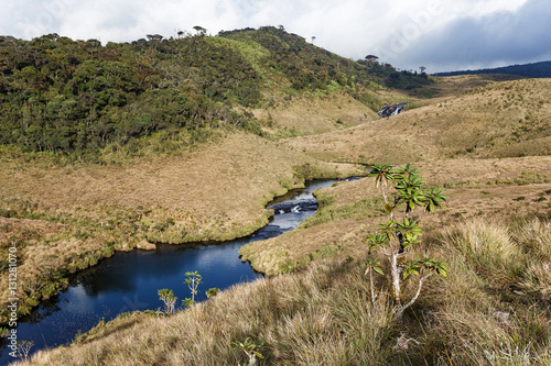 Landscape in Horton Plains National Park, Sri Lanka.