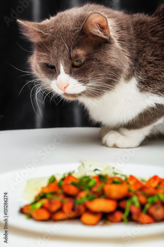 Cunning cat and fried pieces of pork on white plate
