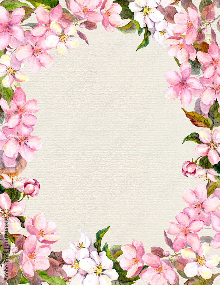 Pink flowers - apple, cherry blossom. Floral vintage frame for retro postcard. Aquarelle on paper background