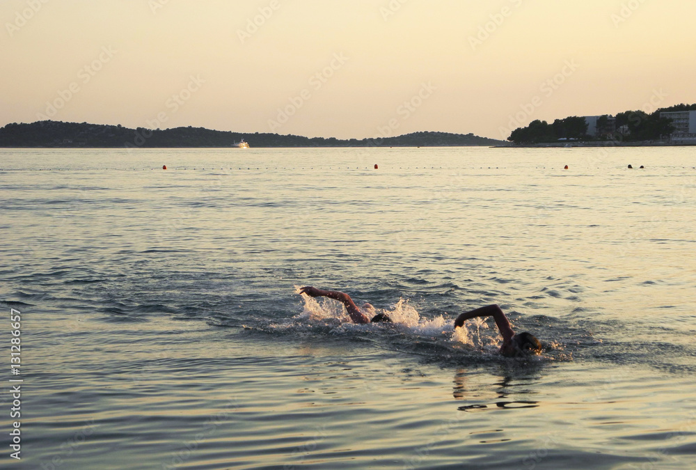 Fototapeta premium The evening swim.