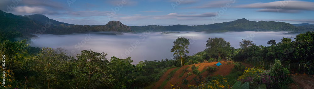 The Mist with Mountain Background in the night, Landscape at Phu The Mist with Mountain Background in the night, Landscape at Phu