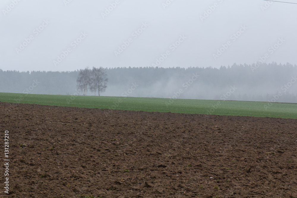 foggy spring landscape foggy spring landscape