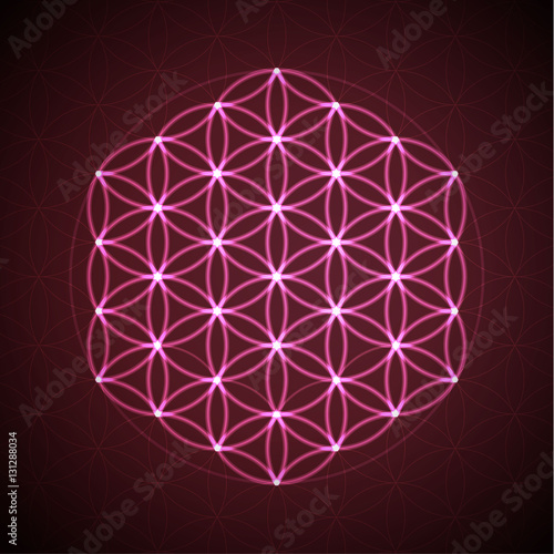 Flower of life. Sacred geometry, vector symbol.