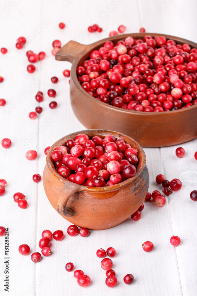 Ripe wild cranberries. Ripe wild cranberries.