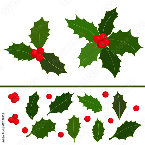 Christmas holly berries icon collection. Hand drawn elements. Vector illustration
