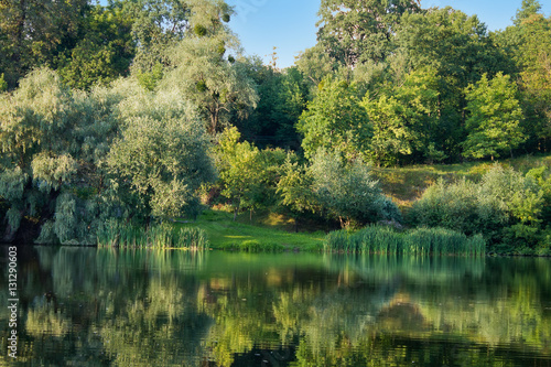 summer lake with meadow and trees on the shore